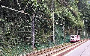 別撲空！烏來台車3月修繕   暫停營運1個月
