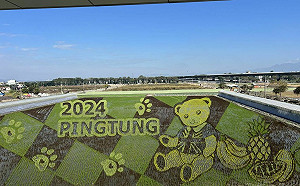 迎新春熱鬧過年！全台10大春節活動一次看