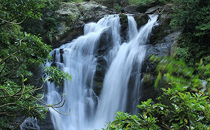 吸收芬多精賞無敵海景！屏東2森林遊樂區上山下海都好玩