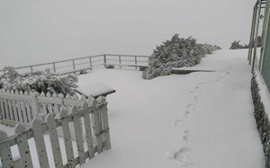 冷氣團發威！玉山下雪了「積雪5公分」美照曝光