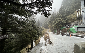 玉山積雪厚度達10公分！玉山國家公園：登山備妥雪地裝備