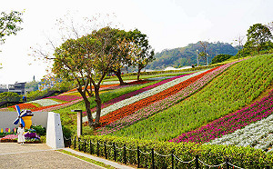 四方好運龍總來！台北「開運走春路線」這樣走就對了