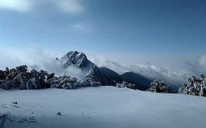 玉山春節驚傳山難！4人組隊挑戰30歲領隊墜谷身亡 直升機吊掛下山