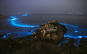 3月到馬祖看藍眼淚！高鐵+南竿機票民宿  每人6299元起