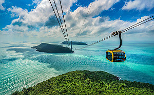 年代旅遊遭勒令停業！16人赴富國島被迫改自由行