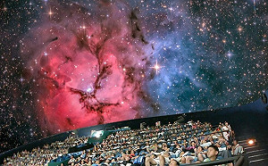 2星座龍年抬頭可見！「東方蒼龍、西方天龍」共舞照亮夜空