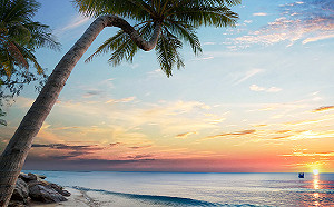 年代旅遊擺爛不賠！觀光署開罰81萬 3/4後恐直接撤照 