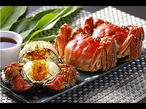 大閘蟹比柯P有魅力？ 國民黨團暗槓11月赴滬爽吃