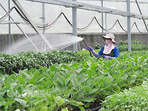 農產食安4標章 109年底整合成2大標章