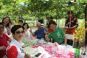 拚吸30萬「澳客」 直飛葡萄樹下吃美食