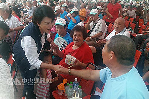 拚台南市長 陳亭妃後援會成立