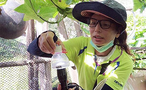 雨後登革熱防疫 高市6月開單大增