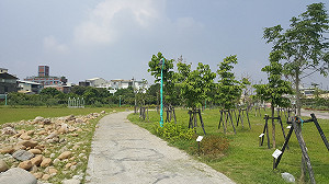 營造花博花園城市 中市補助鼓勵綠美化