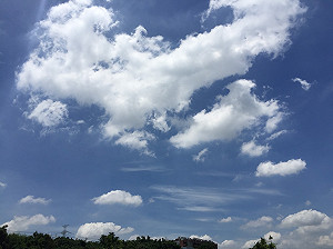 鋒面靠近水氣增  艷陽陣雨快備傘！