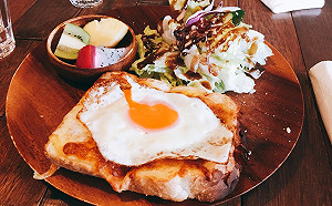 不要生吃雞蛋！只會吃進病菌卻吃不到營養