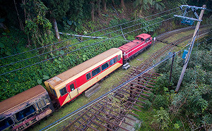 清涼小旅行！ 跟著森鐵探訪伐木工人小聚落