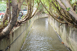 埔心溪流域不再淹　埤塘變滯洪池爭取納前瞻