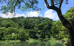 暑假露營去！全台四大美呆露營區在這裡