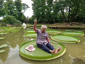熱到瘋！樂遊觀音  坐蓮降火趣