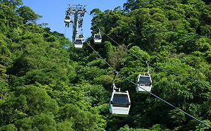 貓空纜車歲修完成 今起恢復營運