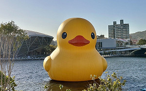 黃色小鴨萌樣回歸 把握最後展期留下美好回憶 