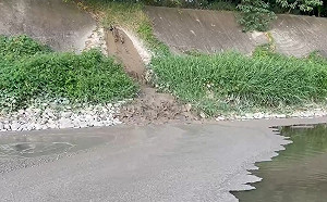 農地工廠污染不減反增！環團三點質疑工輔法：制定合理退場機制