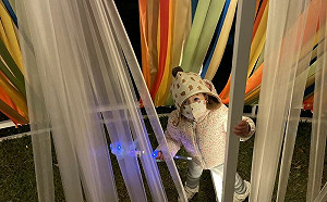 新竹縣東興圳光藝節倒數2天！閉幕抽啤酒送多肉植物