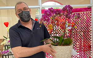 國合會助巴拉圭蘭花產業 台灣蝴蝶蘭點綴巴國情人節      