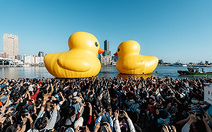 30天帶進逾140億產值 高雄「小鴨經濟」一飛沖天