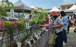 3/12植樹節！捐血捐發票就可兌換苗木1株