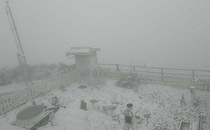 玉山下雪！積雪2公分 霧濛濛美照曝光