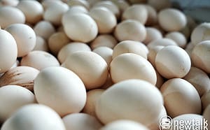 過年買氣帶動蛋價連兩週上漲！批發價明起每斤加2元