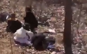 (影) 大家都別活! 故意挑放學時刻開車撞人 山東37學童死傷 兇手事前喝農藥