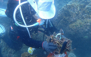 「淨海聯盟」守護台東海岸！112年清理1萬公斤海洋廢棄物