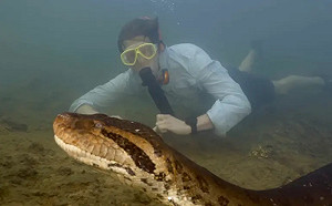 亞馬遜驚見「8公尺巨蟒」！ 科學家：新物種