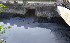 「放流水標準」修正！ 環境部增氨氮管制範圍：肉品市場、醫院將納管