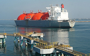 媒體控三接工程毀藻礁！中油駁：珊瑚發展穩定 小燕鷗數量大增