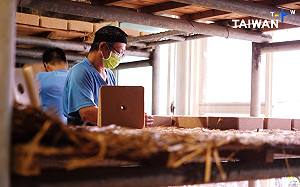 (影)從釀酒製程到歷史背景 TaiwanPlus紀錄片讓全球認識金門酒廠
