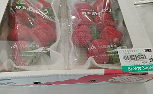 北市衛生局驗「蔬果農藥殘留」15件違規！草莓5件不合格