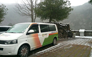 搭台灣觀巴國旅！3月預約享「2人同行1人免費」優惠