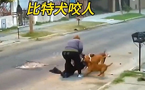 狗咬人以後用刑法辦! 中國全國人大提案：「建議將犬隻傷人寫入刑法」