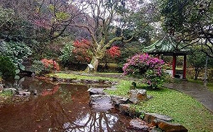 3/8-10賞花看表演！陽明山花季給遊客「文青風」體驗