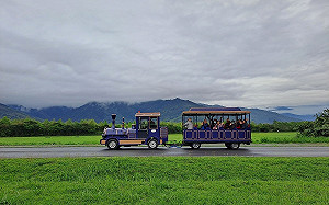 搭小火車賞螢火蟲！花蓮大農大富賞螢活動3/9登場
