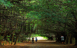 踏青遊山泡溫泉！春遊台南體驗溪北在地風情