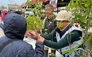 減碳做愛心 蔡其昌、施志昌連辦四場贈樹苗活動