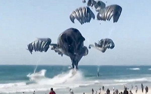 加薩「空投物資」砸難民營釀5死悲劇 美「臨時碼頭」估耗時60天