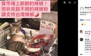 蘇丹紅風暴》農藝女孩：台灣辣椒新鮮 多吃原型食物