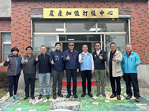金門酒廠擴大在台契作高粱！農業部：今年種植面積提高到2500公頃以上