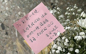 剴剴花葬陽明山 4歲姊姊問弟弟為什麼「住土裡」引人熱淚...