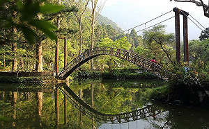 「溪頭」榮登最受歡迎森林遊樂區！連三年超車阿里山
